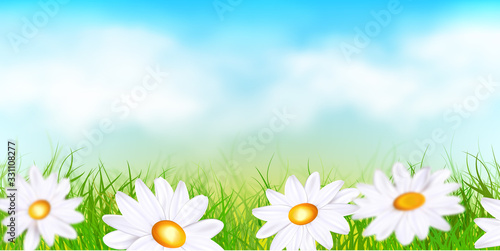 Daisy