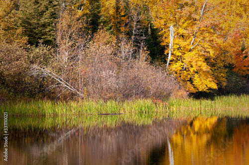 Autumn colors illuminated by the light of a setting sun are reflected in the calm surface of the Michigamme River near Crystal Falls in Michigan's Upper Peninsula. photo