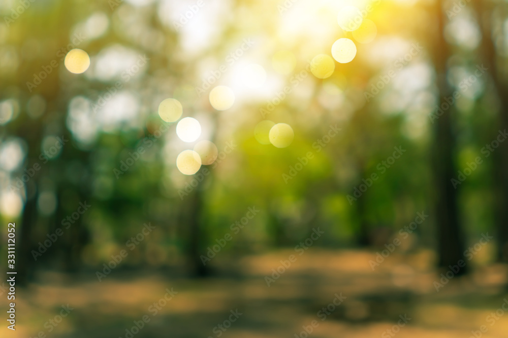 Blur nature bokeh green park by beach and tropical coconut trees - obrazy, fototapety, plakaty 