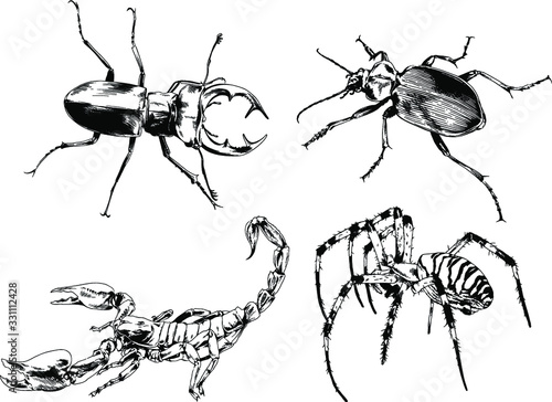 vector drawings sketches different insects bugs Scorpions spiders drawn in ink by hand , objects with no background © evgo1977
