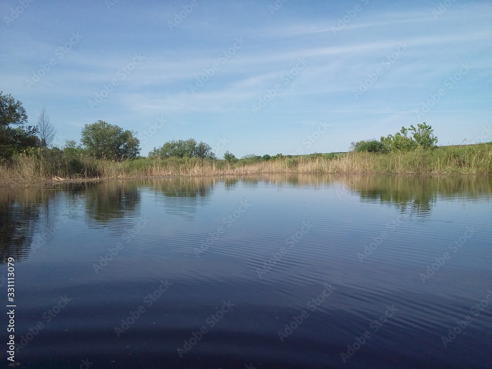 lake in forest