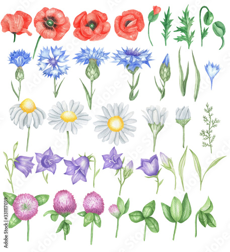 Wallpaper Mural Field flowers set Torontodigital.ca