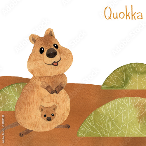 Cute kawaii hand drawn watercolor art. Smiling australian quokka with baby in bag in landscape