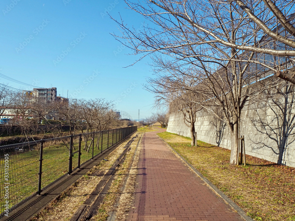 空堀川の遊歩道