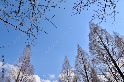 冬空