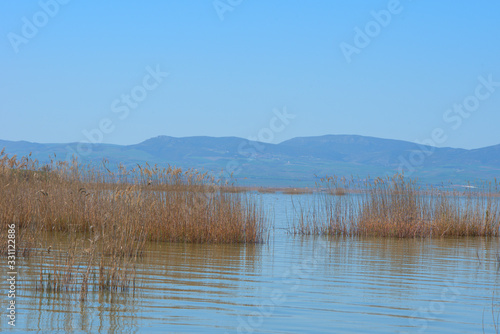 lake Karla , Greece , wild flora and fauna, in a protected ecological environment