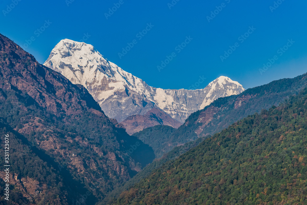 Majestic view of Annapurna south and Himchuli from Poonhill Ghorepani Nepal Majestic view of Annapurna south and Himchuli from Poonhill Ghorepani Nepal