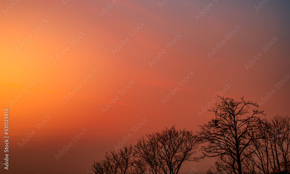 Beautiful silhouette leafless tree and sunset sky. Romantic and peaceful scene of sun, and red sky at sunset time with beauty pattern of branches. Fall season with tranquil nature. Beauty in nature. Beautiful silhouette leafless tree and sunset sky. Romantic and peaceful scene of sun, and red sky at sunset time with beauty pattern of branches. Fall season with tranquil nature. Beauty in nature.