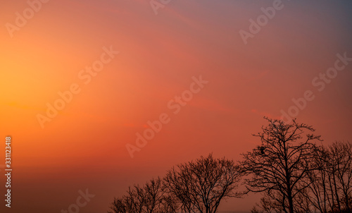 Beautiful silhouette leafless tree and sunset sky. Romantic and peaceful scene of sun  and red sky at sunset time with beauty pattern of branches. Fall season with tranquil nature. Beauty in nature.