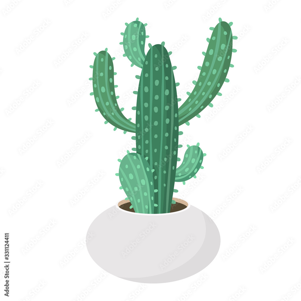 Cactus and succulent in pot domestic colorful cartoon vector illustration. Decorative flower plant. Isolated icon cacti Cactus and succulent in pot domestic colorful cartoon vector illustration. Decorative flower plant. Isolated icon cacti