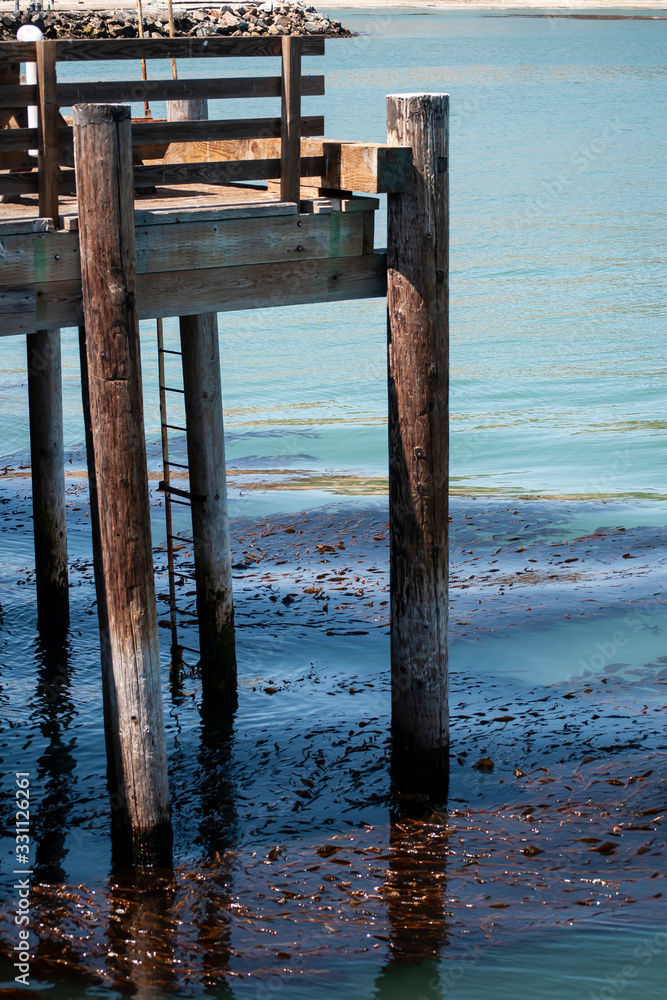 California Pier and Kelp