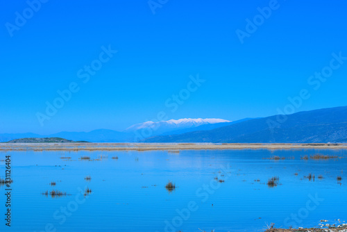 lake Karla   Greece   wild flora and fauna  in a protected ecological environment