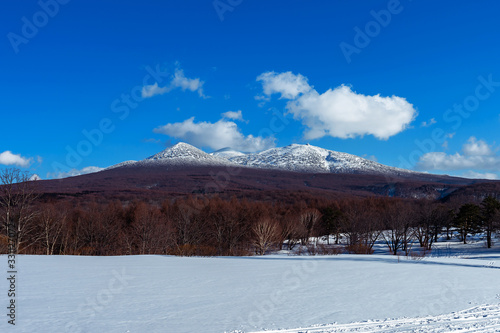 【青森県青森市】萱野茶屋高原から眺める初春の八甲田山