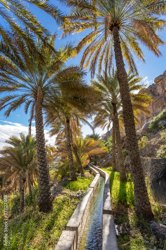 Al Misfat al Abriyyin in the Hajar Mountains  Oman. - Date palm tree oasis and water spring at Misfah al Abriyeen village. Sultanate of Oman