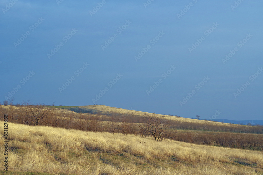 Fototapeta premium Early spring in southern europe