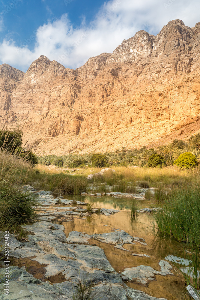 Wadi Tiwi river and canyon with rocky cliffs and green water springs - Sultanate of Oman