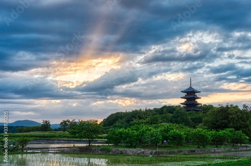 landscape with japanese temple