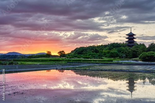 sunset over Paddy field