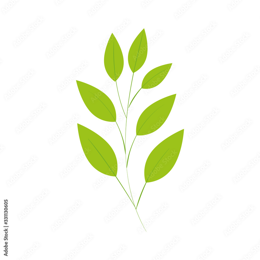 branch with leafs natural isolated icon vector illustration design