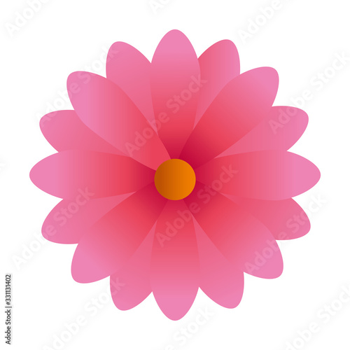 Fototapeta Naklejka Na Ścianę i Meble -  cute flower pink color isolated icon vector illustration design