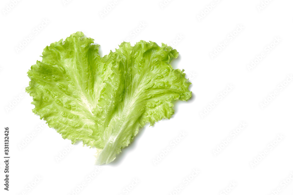 fresh green salad lettuce leaf isolated. white background fresh green salad lettuce leaf isolated. white background