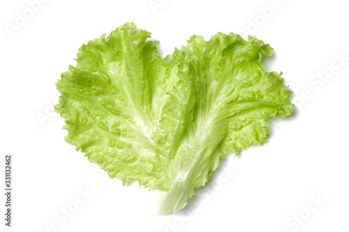 fresh green salad lettuce leaf isolated. white background