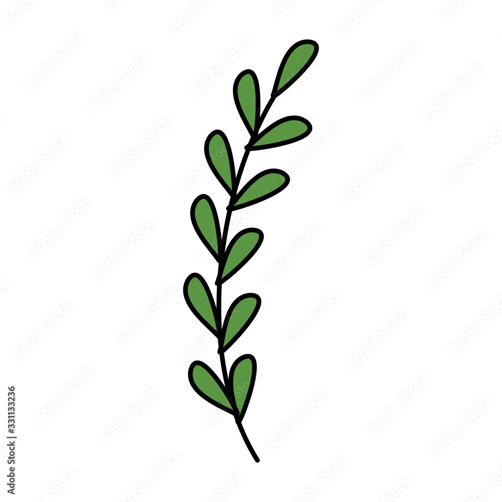 Fototapeta premium branch with leafs natural isolated icon vector illustration design