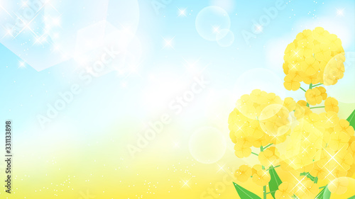 菜の花の背景イラスト_16:9