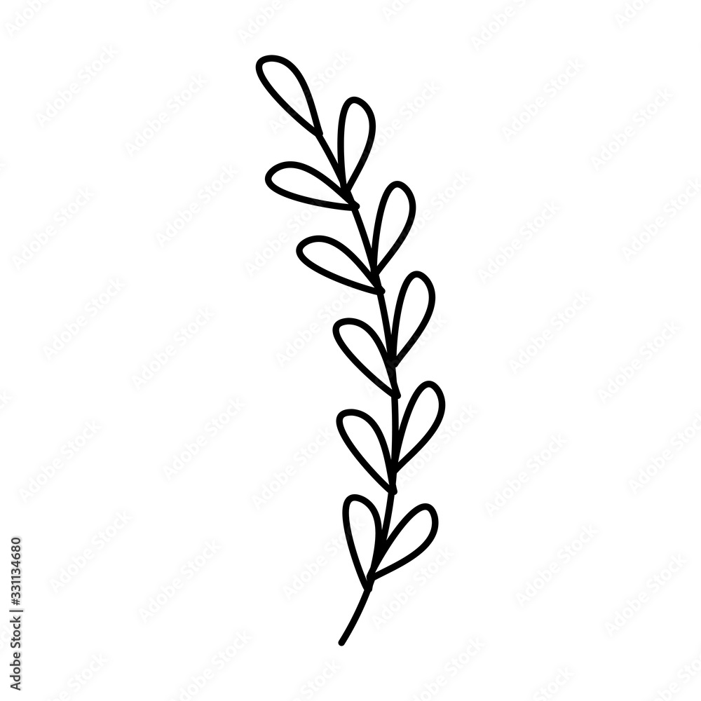 branch with leafs natural line style vector illustration design branch with leafs natural line style vector illustration design