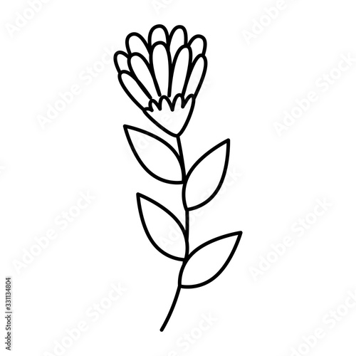 cute flower with branch and leafs line style icon vector illustration design