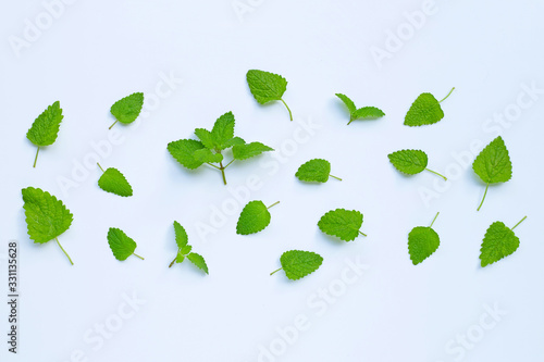 Foto Melissa lemon balm fresh leaves on white.