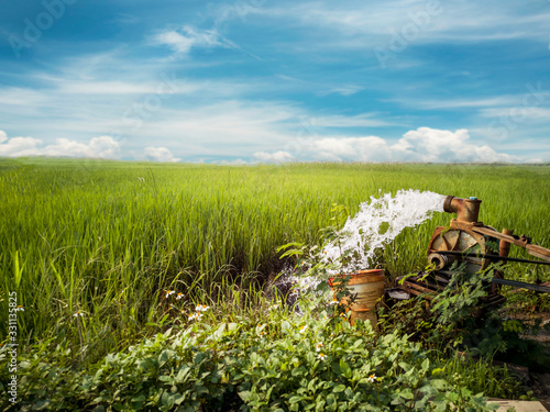 water gushing out from tube well through pipeline for irrigating the agricultural fields