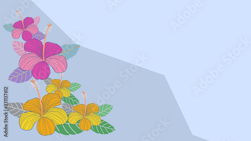 Hand drawn tropical jungle exotic hibiscus flower on white background. summer floral wallpaper.