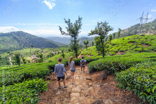 People walking in the tea plantation in the hills of Munnar, some of the most elevated tea plantations in the world, Kerala, India