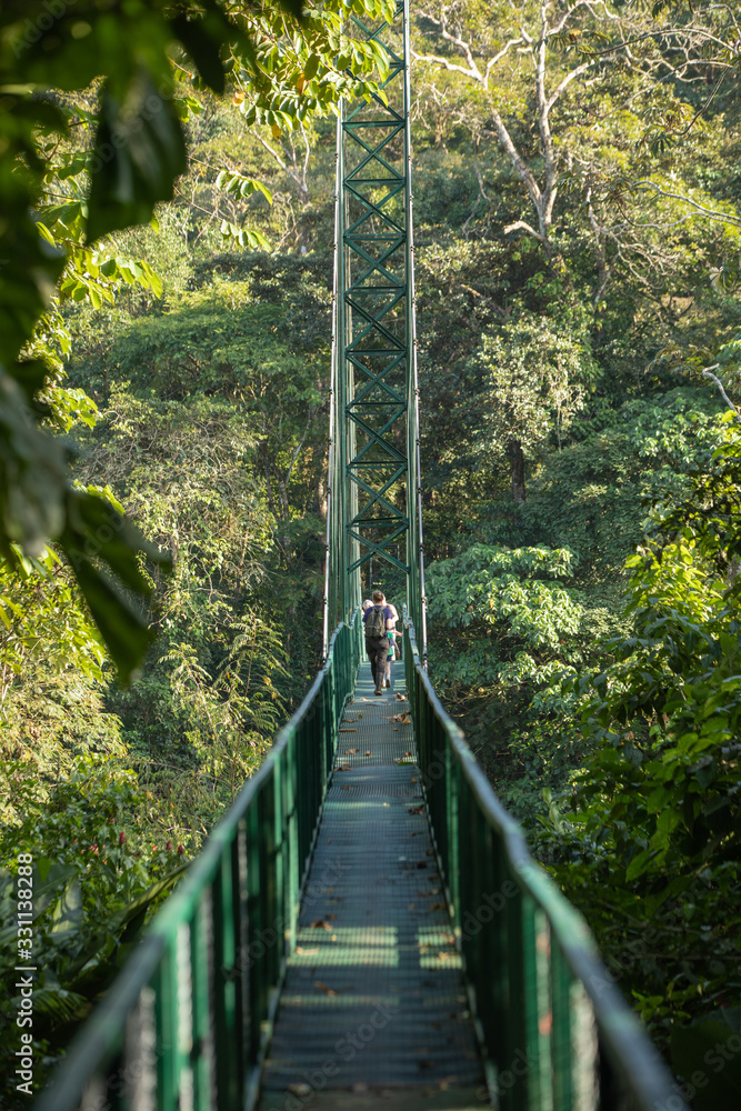 Fototapeta Hängebrücke in Costa Rica