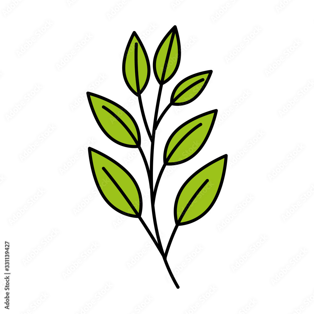 branch with leafs natural isolated icon vector illustration design branch with leafs natural isolated icon vector illustration design