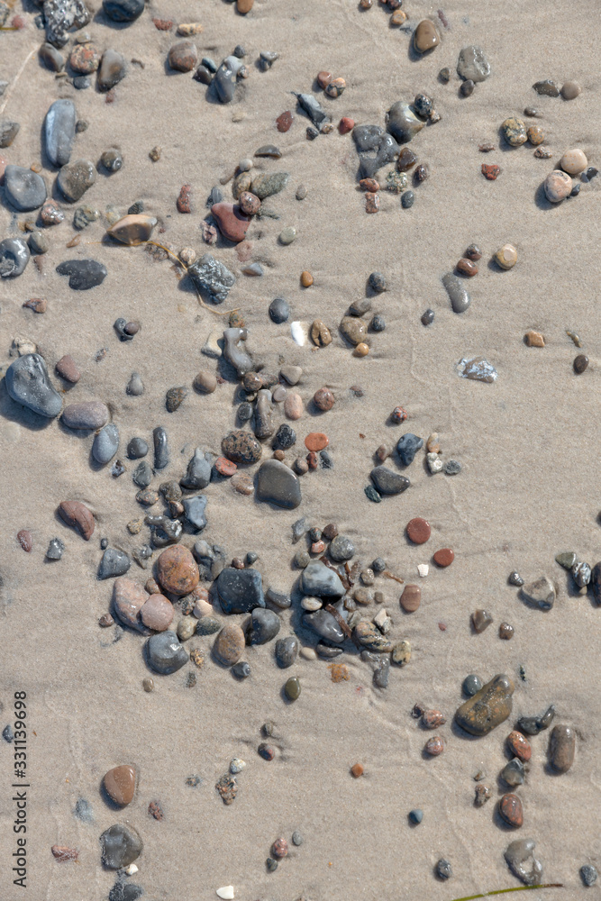 Sandy bottom on the seashore with pebbles and shells Sandy bottom on the seashore with pebbles and shells