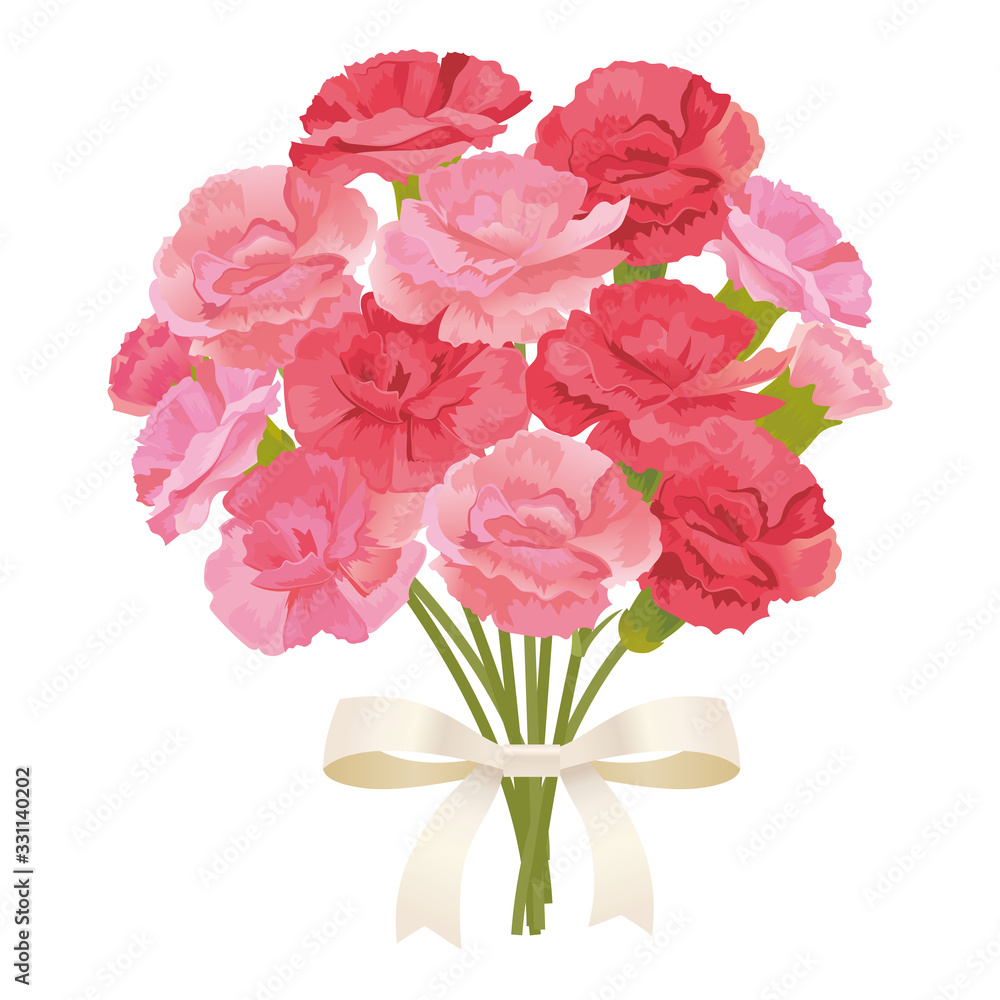 カーネーションの花束 カーネーションの花束