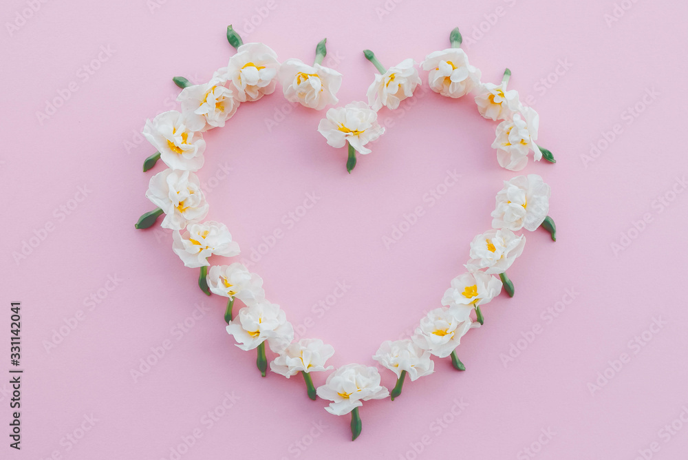 Heart made of fresh white daffodil flowers on pastel pink background.