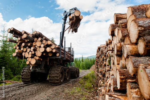 Timber harvesting in Norway photo