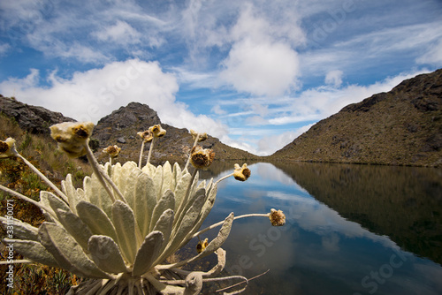 Paramo Santurban