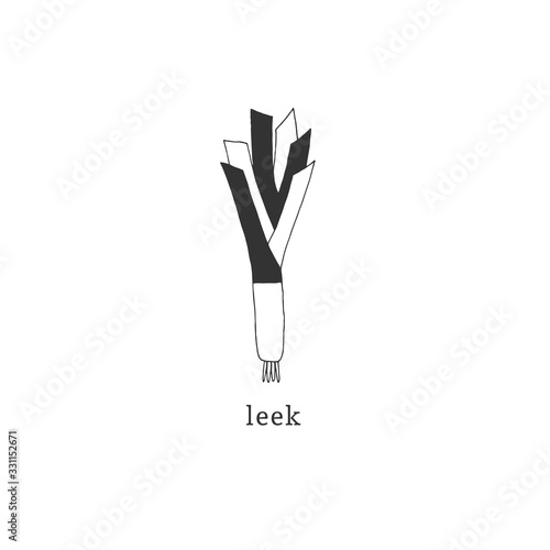 Vector isolated leek icon. Hand drawn vegetables. Healthy nutrition, vegetarians, vegans.