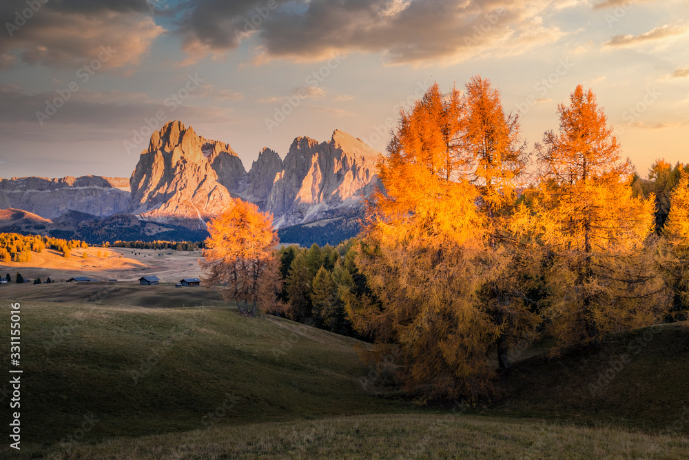 Autumn in Siusi Alp, Seiser Alm, South Tyrol, northern Italy