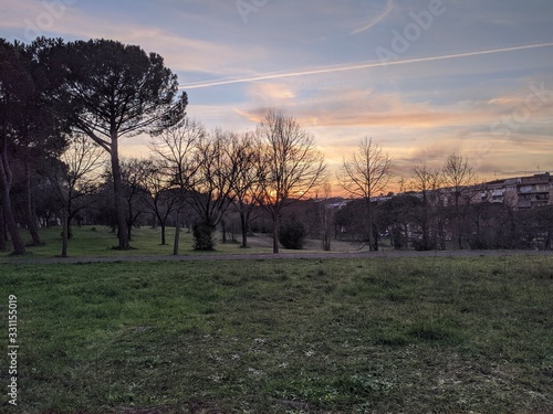 sunset in the park