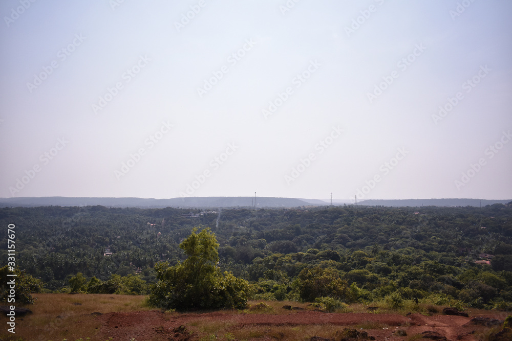 landscape view of the forest ,with smoke coming out from the middle far away