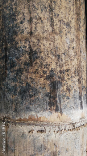 close up of aged bamboo surface