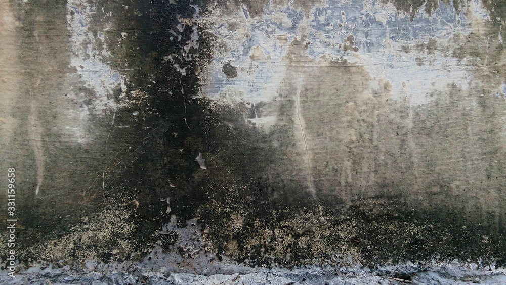 Obraz premium weathered wall with mold and cracked paint