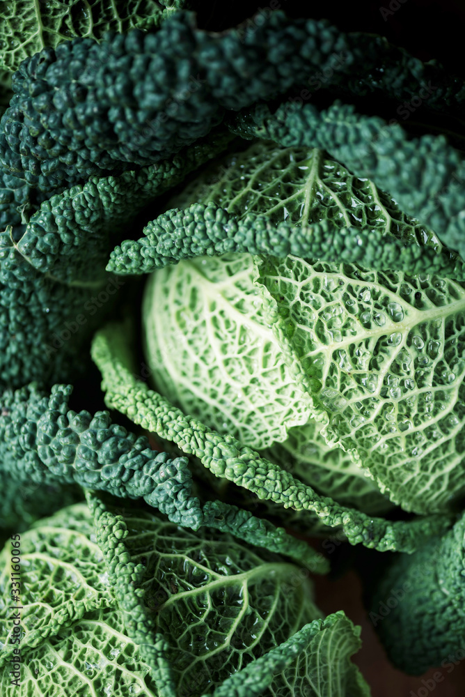 Raw green cabbage texture. Organic savoy cabbage background. Vegan and vegetarian diet concept