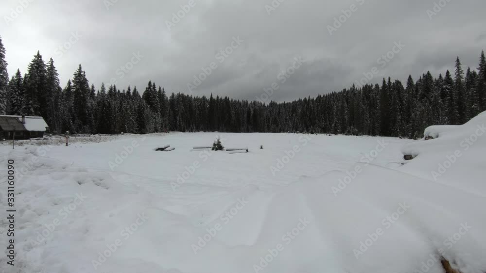 Right pan landscape natural meadow field covered with white snow, spruce tree forest in background Right pan landscape natural meadow field covered with white snow, spruce tree forest in background