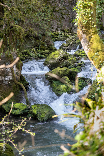 RIVIERE EN FORET EAU